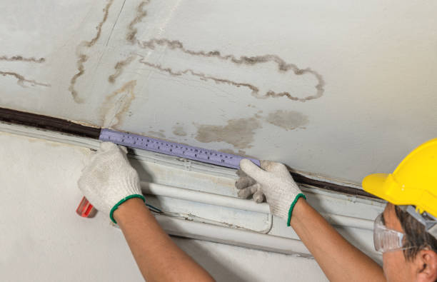 Reliable Water Damage contractor in Mansfield, OH by Water Damage Irwin